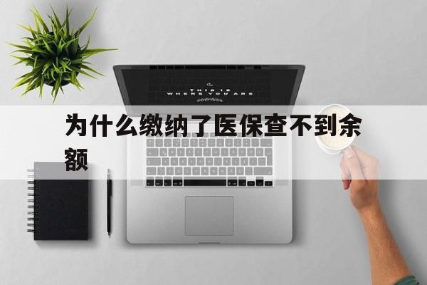 金华最新为什么缴纳了医保查不到余额方法分析(最方便真实的金华医保交了费怎么查不到方法)